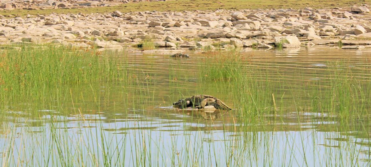 Bhadrawati - A Riverside Safari Lodge Ranthambore Esterno foto